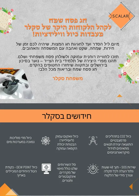 דוגמת מיתוג